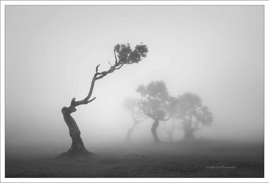 Black and White Landscape Photography by Huibo Hou