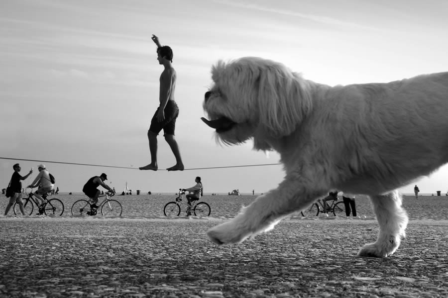 Black And White Street Photography By Moises Levy