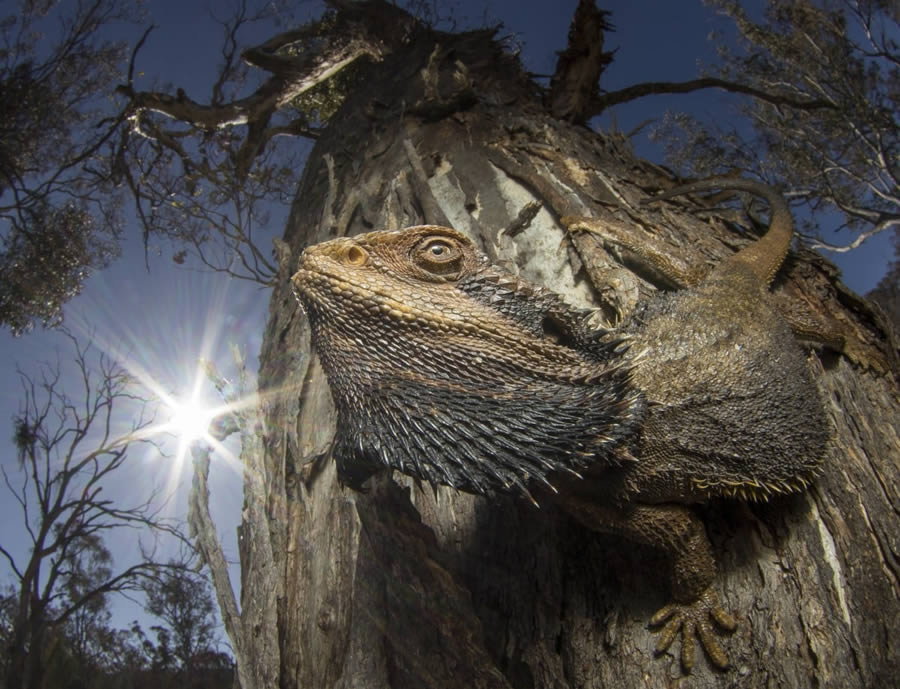 British Ecological Society Photo Contest 2024 Winners