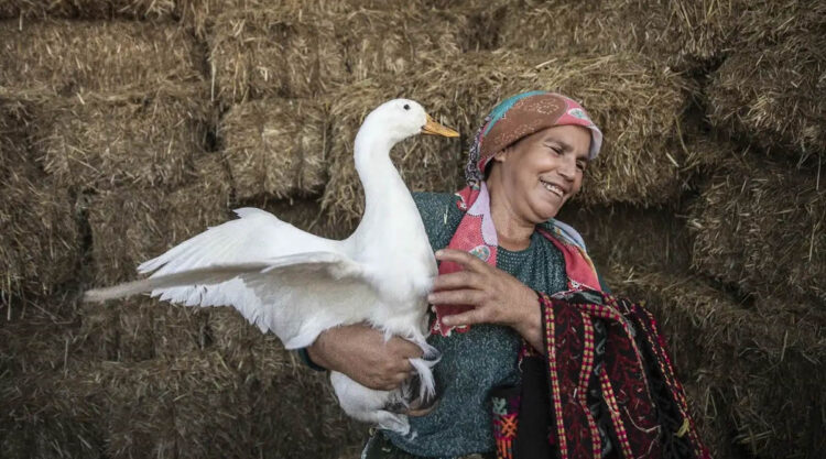 Environmental Portraits by Turkish Photographer Fatma Gok Salt