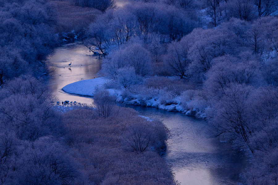 Bird and Animals 2024 European Nature Photographer of the Year Awards