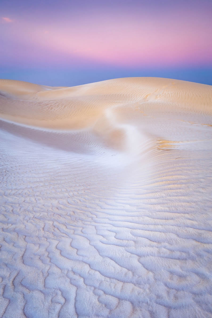 2024 European Nature Photographer Of The Year Winners