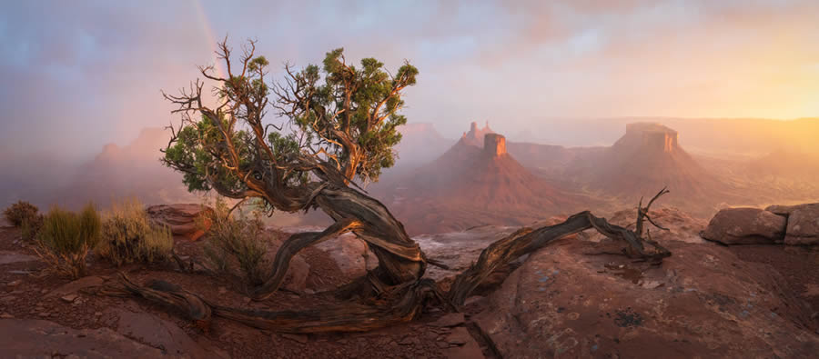 Nature And Landscape Winners of the 2024 Epson Panorama Photo Awards