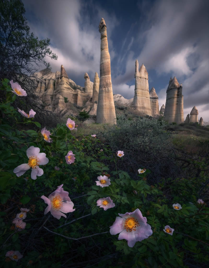 Breathtaking Landscapes Around the World By Max Rive