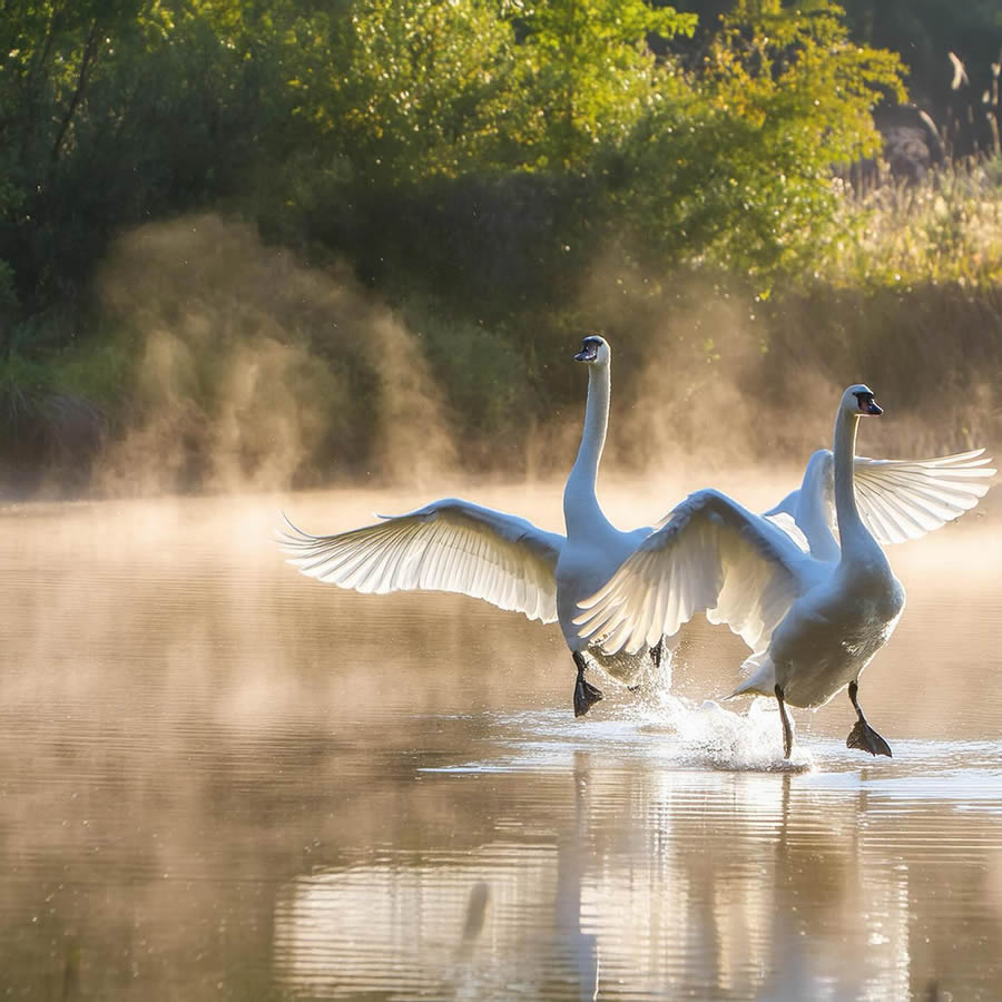 Nature Photography Of Animals And Landscapes By Michal Janda