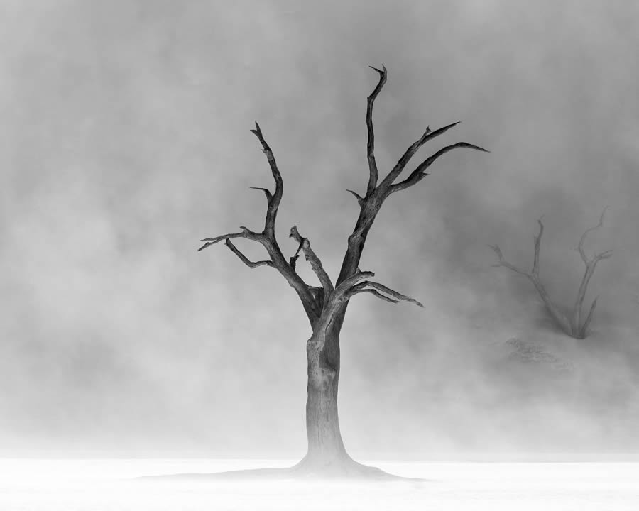 reFocus Black And White Nature Photography Awards