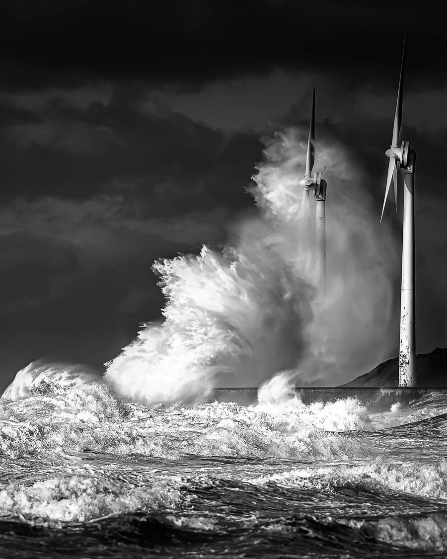 reFocus Black And White Nature Photography Awards