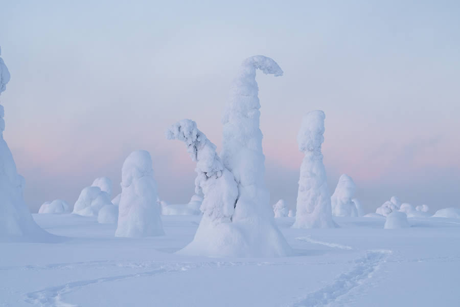 Enchanting Winter Landscape Photos Of Riisitunturi National Park, Finland By Jonas Hafner