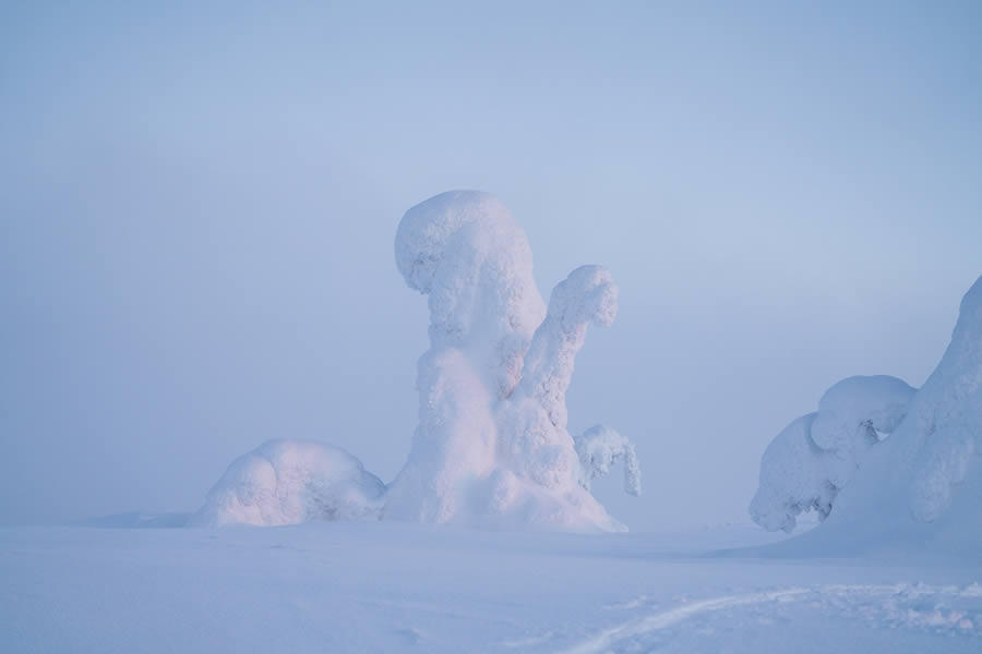 Enchanting Winter Landscape Photos Of Riisitunturi National Park, Finland By Jonas Hafner