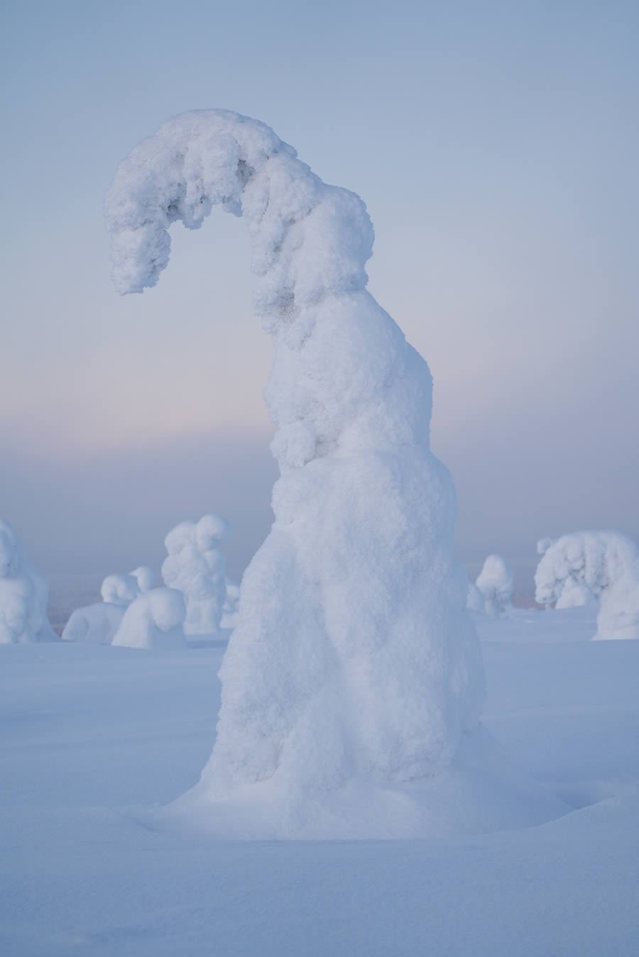 Enchanting Winter Landscape Photos Of Riisitunturi National Park, Finland By Jonas Hafner