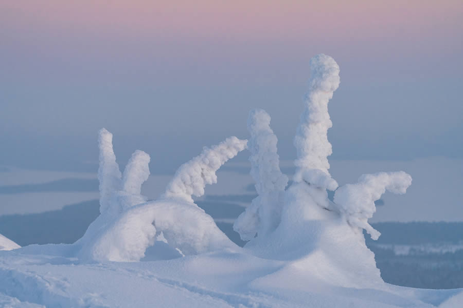 Enchanting Winter Landscape Photos Of Riisitunturi National Park, Finland By Jonas Hafner