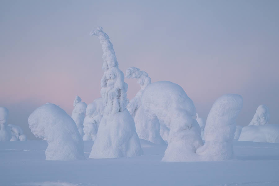 Enchanting Winter Landscape Photos Of Riisitunturi National Park, Finland By Jonas Hafner