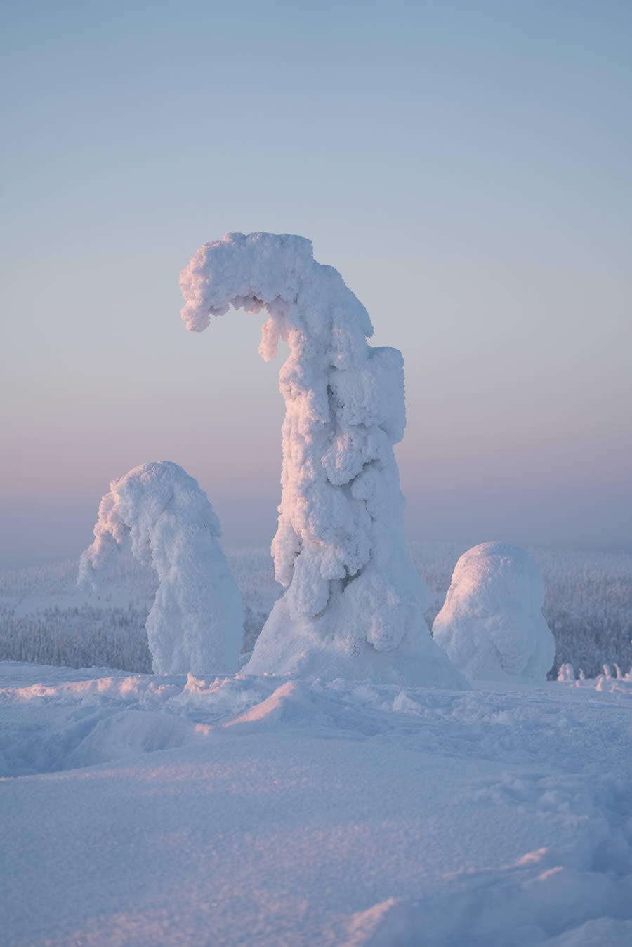 Enchanting Winter Landscape Photos Of Riisitunturi National Park, Finland By Jonas Hafner