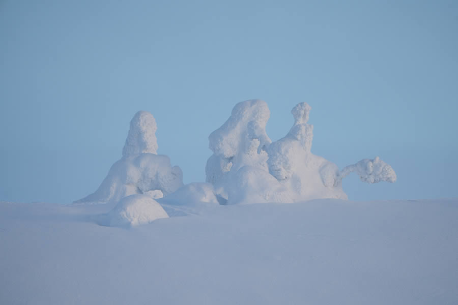 Enchanting Winter Landscape Photos Of Riisitunturi National Park, Finland By Jonas Hafner