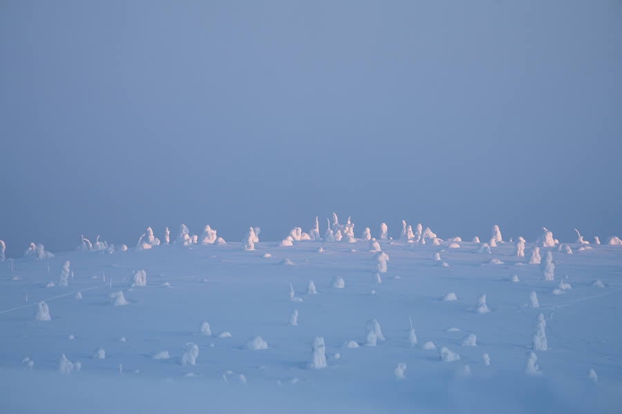 Enchanting Winter Landscape Photos Of Riisitunturi National Park, Finland By Jonas Hafner