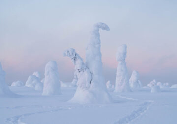 Enchanting Winter Landscape Photos Of Riisitunturi National Park, Finland By Jonas Hafner