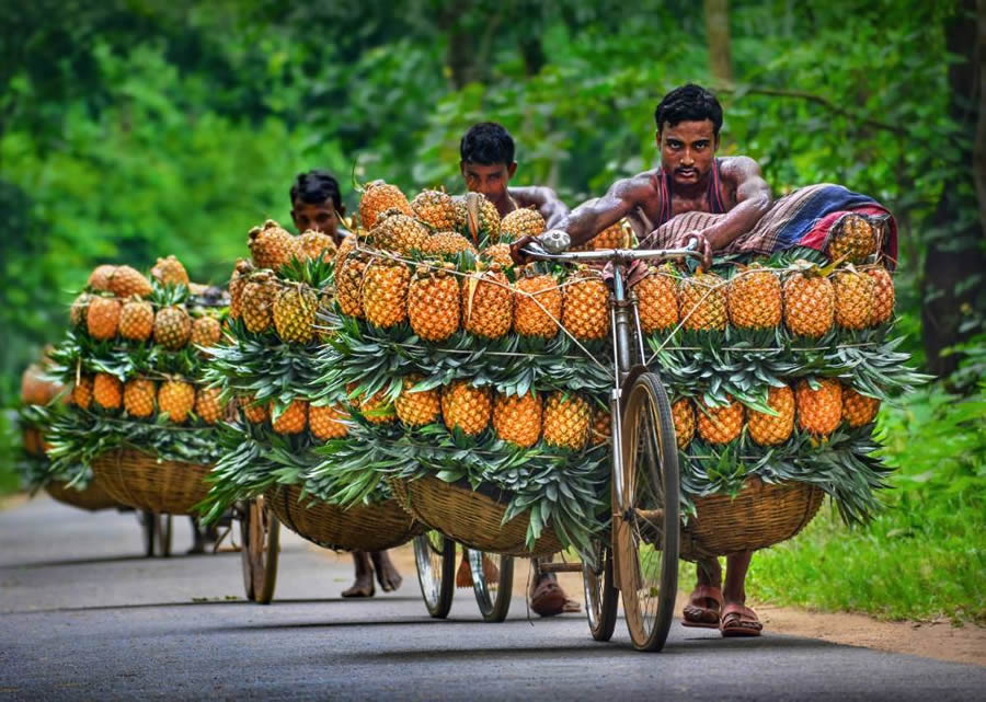 Essence of Daily Life in Bangladesh Photography by Abdul Momin