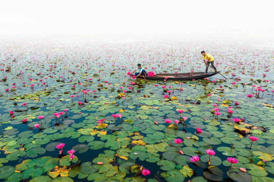 Essence of Daily Life in Bangladesh Photography by Abdul Momin