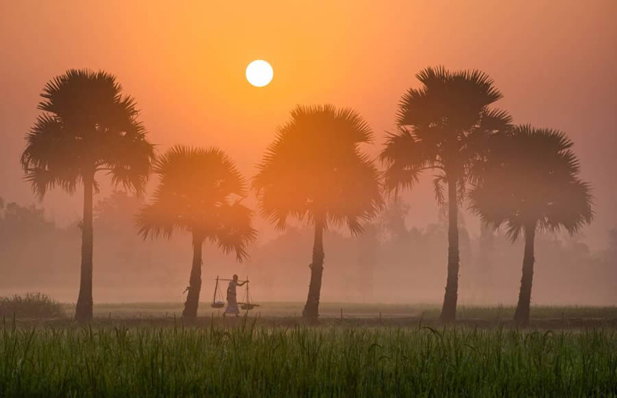 Essence of Daily Life in Bangladesh Photography by Abdul Momin