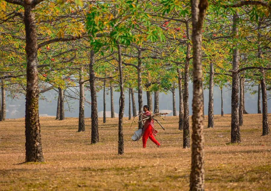 Essence of Daily Life in Bangladesh Photography by Abdul Momin