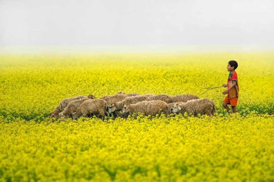 Essence of Daily Life in Bangladesh Photography by Abdul Momin