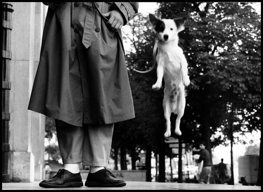 Master Photographer Elliott Erwitt