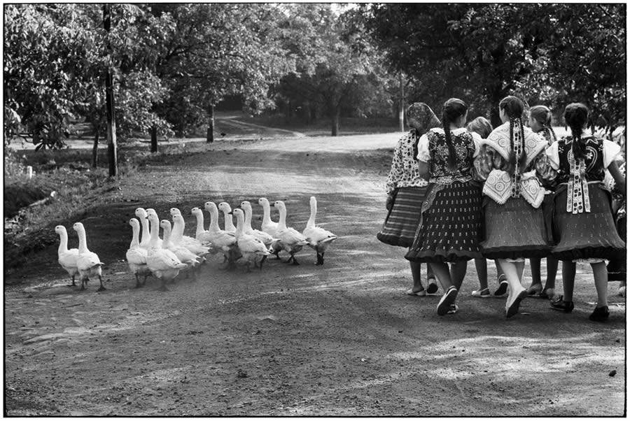 Master Photographer Elliott Erwitt