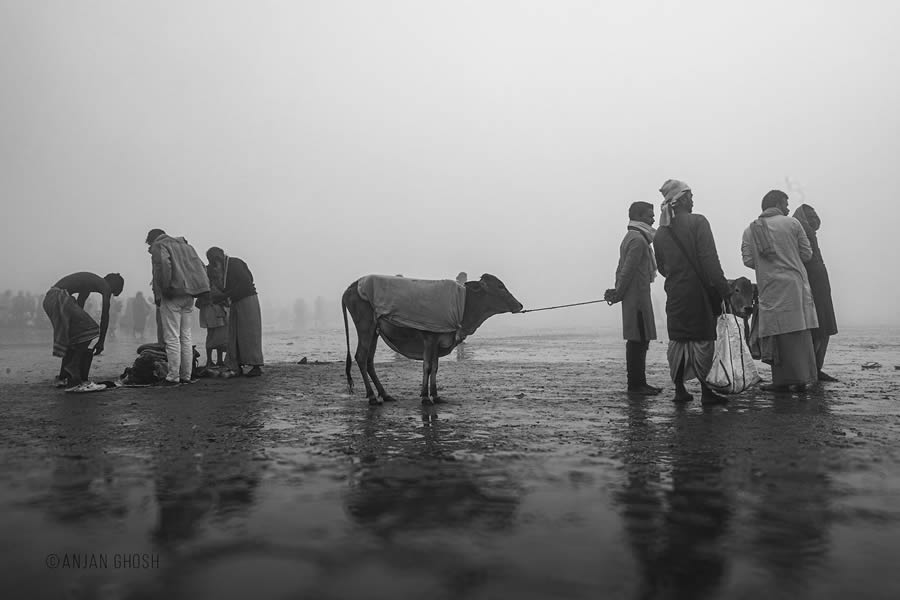 Ganges River Makar Sankranti by Anjan Ghosh