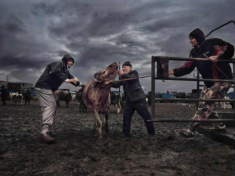 Daily Life Moments Photography in Iran By Hojjat Hamidi