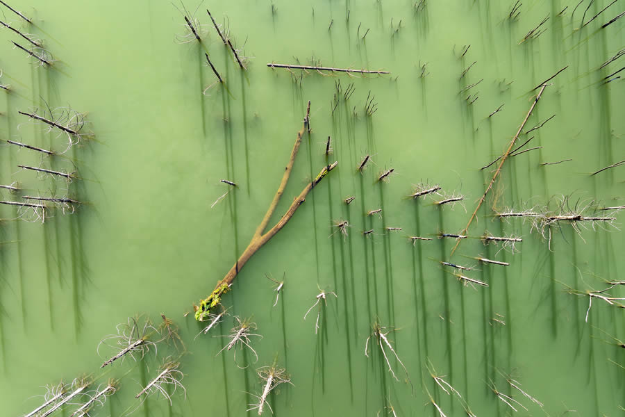 International Landscape Photographer of the Year 2024 Winners