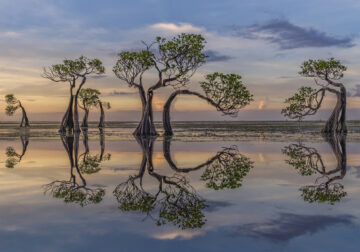 International Landscape Photographer of the Year 2024 Winners