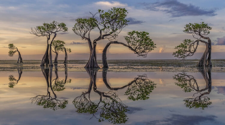 International Landscape Photographer of the Year 2024 Winners