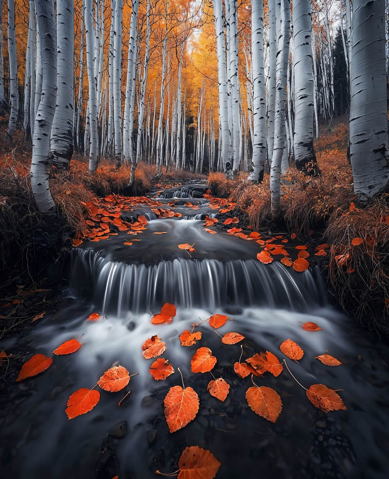 Dreamlike Landscape Photography by Daniel Greenwood