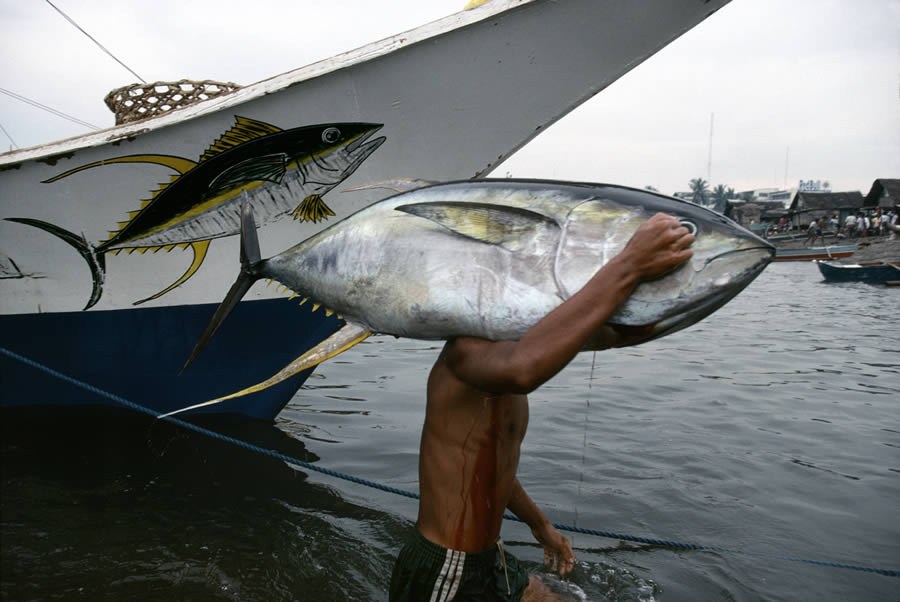 Master Photographer Bruno Barbey