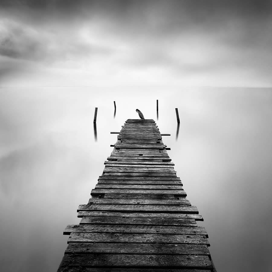 Mesolongi Lagoon Black and White Landscapes by George Digalakis