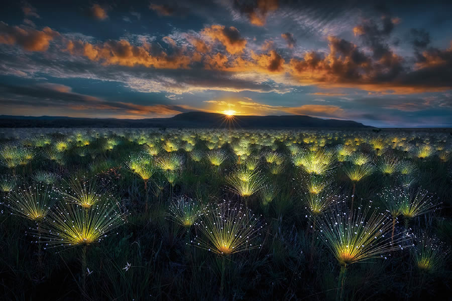 Best Award-Winning Landscape Photos of 2024