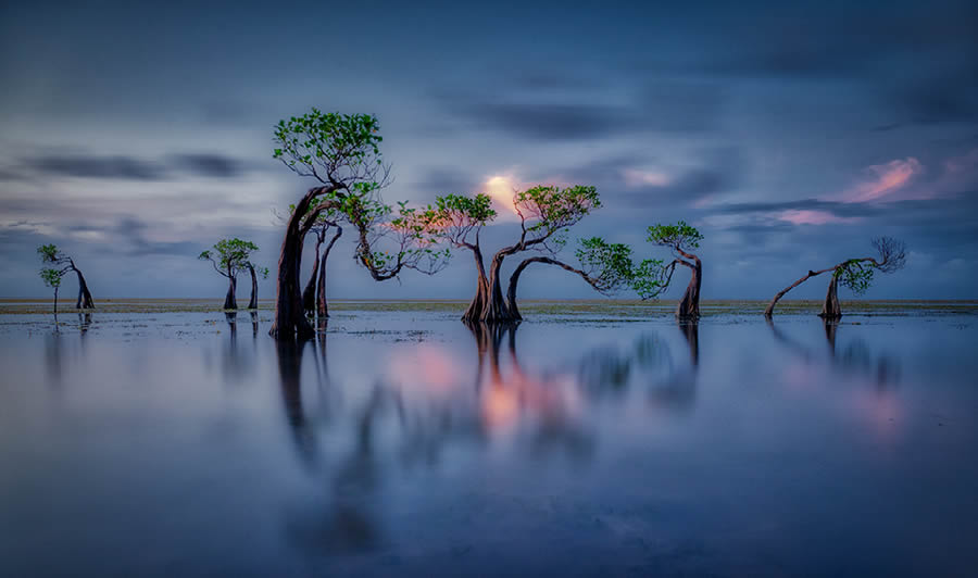 Best Award-Winning Landscape Photos of 2024