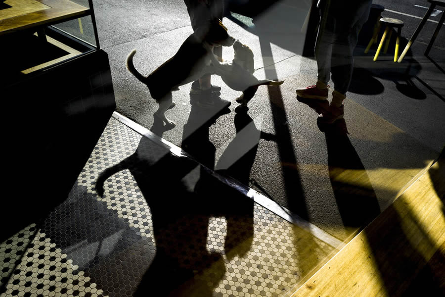 Melbourne Street Photography by Jesse Marlow