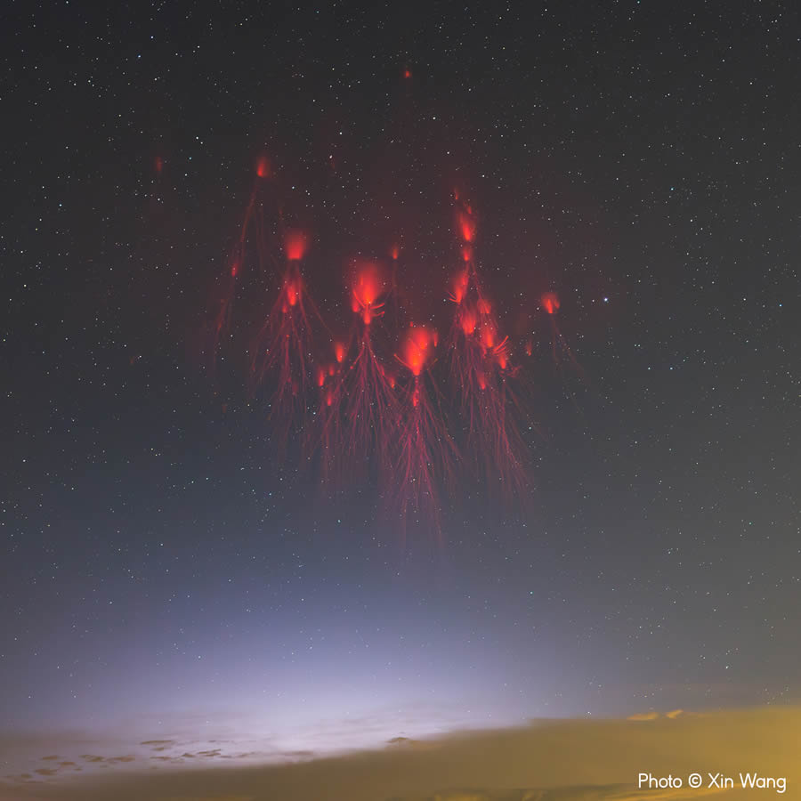 Weather Photographer of the Year Awards 2024 Winners