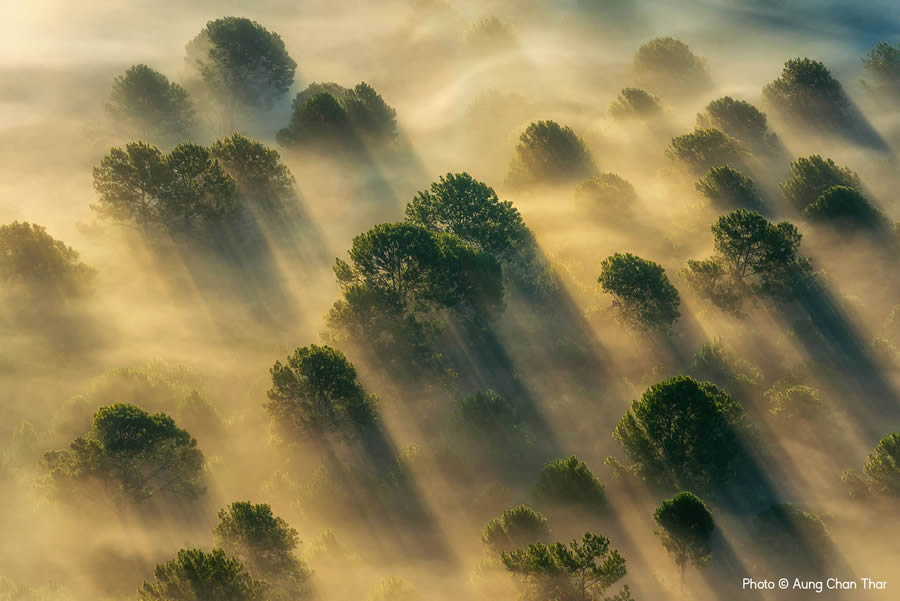 Weather Photographer of the Year Awards 2024 Winners