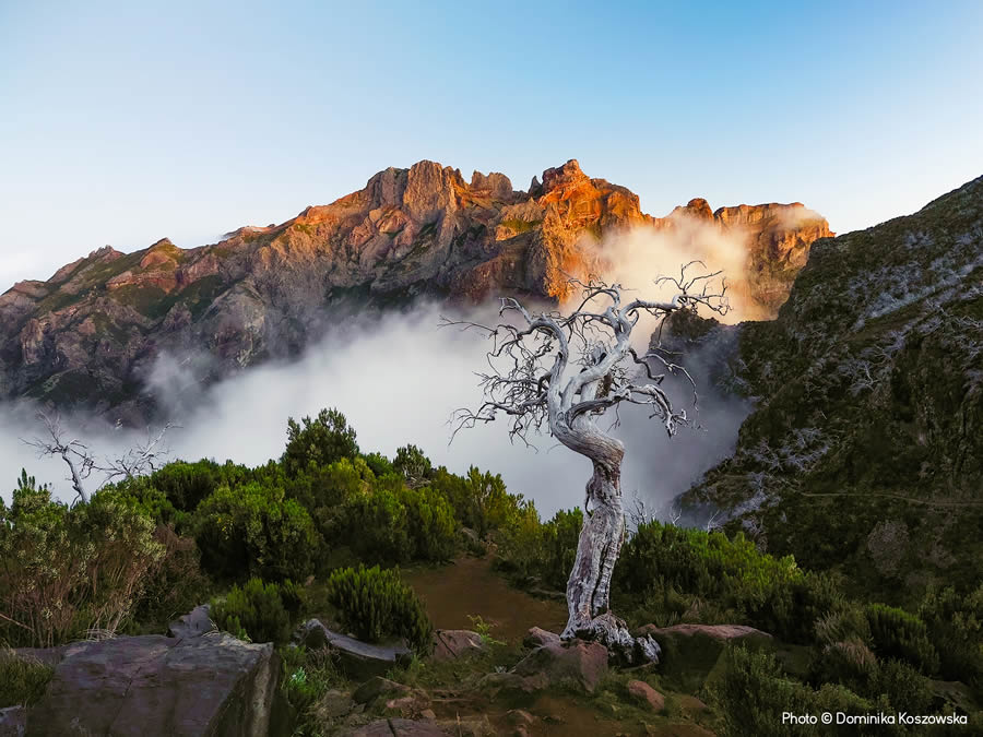 Weather Photographer of the Year Awards 2024 Winners