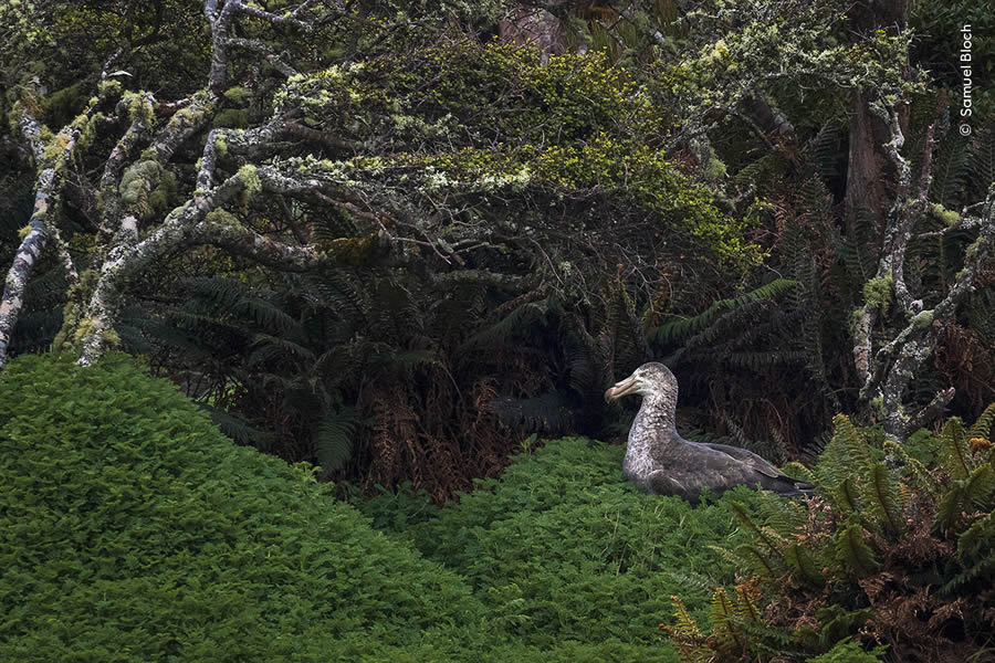 Wildlife Photographer Of The Year 2024 Peoples Choice Photos