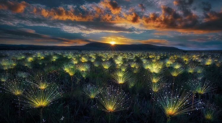 Best Award-Winning Landscape Photos of 2024