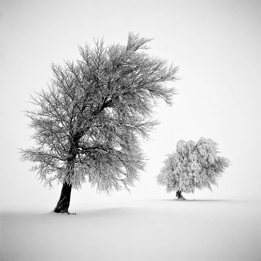 Black and White Landscape Photography by Michael Schlegel