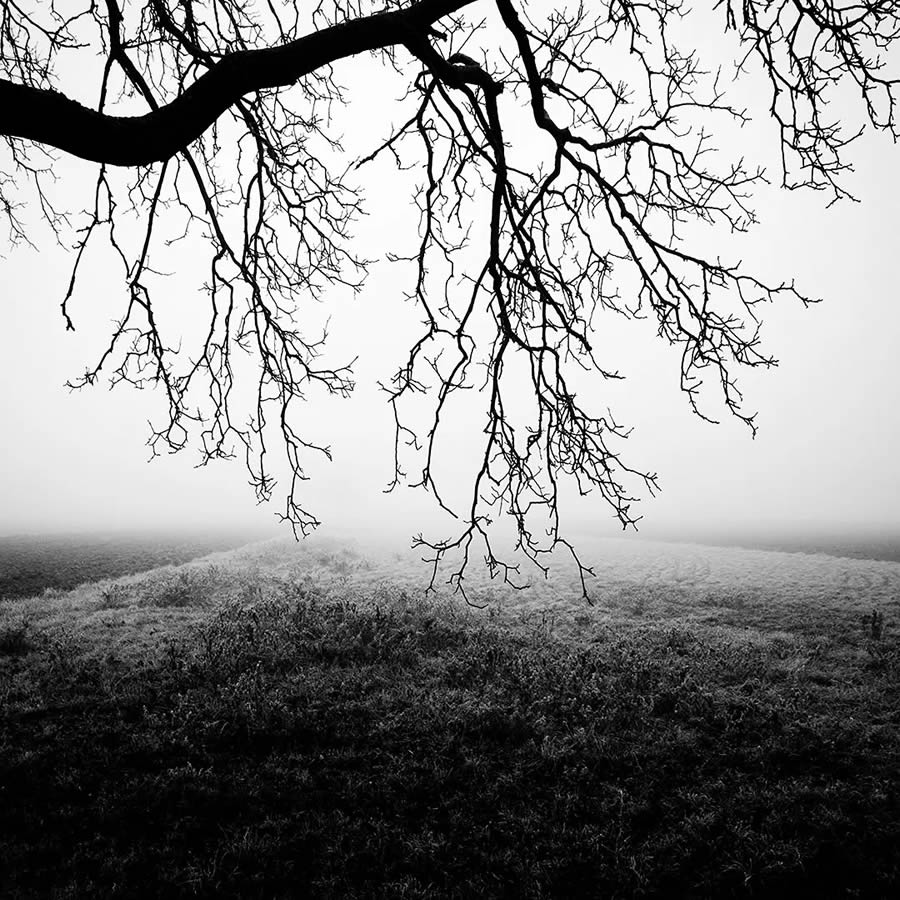 Black and White Landscape Photography by Michael Schlegel