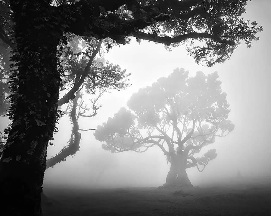 Black and White Landscape Photography by Michael Schlegel