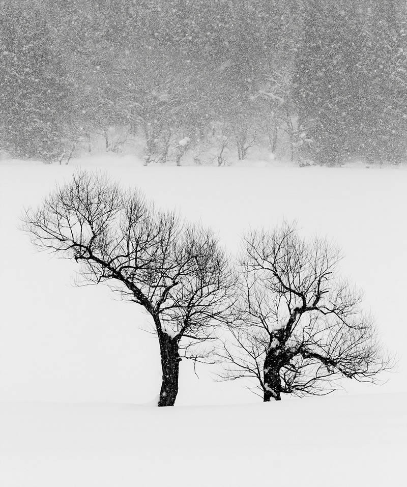 Black and White Landscape Photography by Oliver Robert