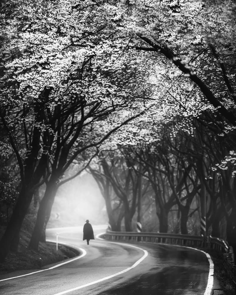 Black and White Photography by Mokyeon