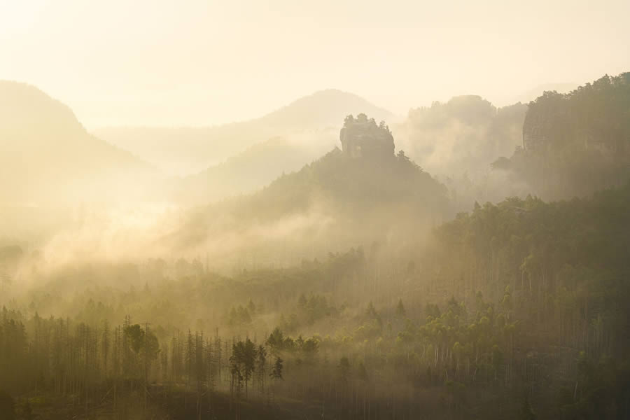 2024 European Wildlife Photographer of the Year Awards Landscape