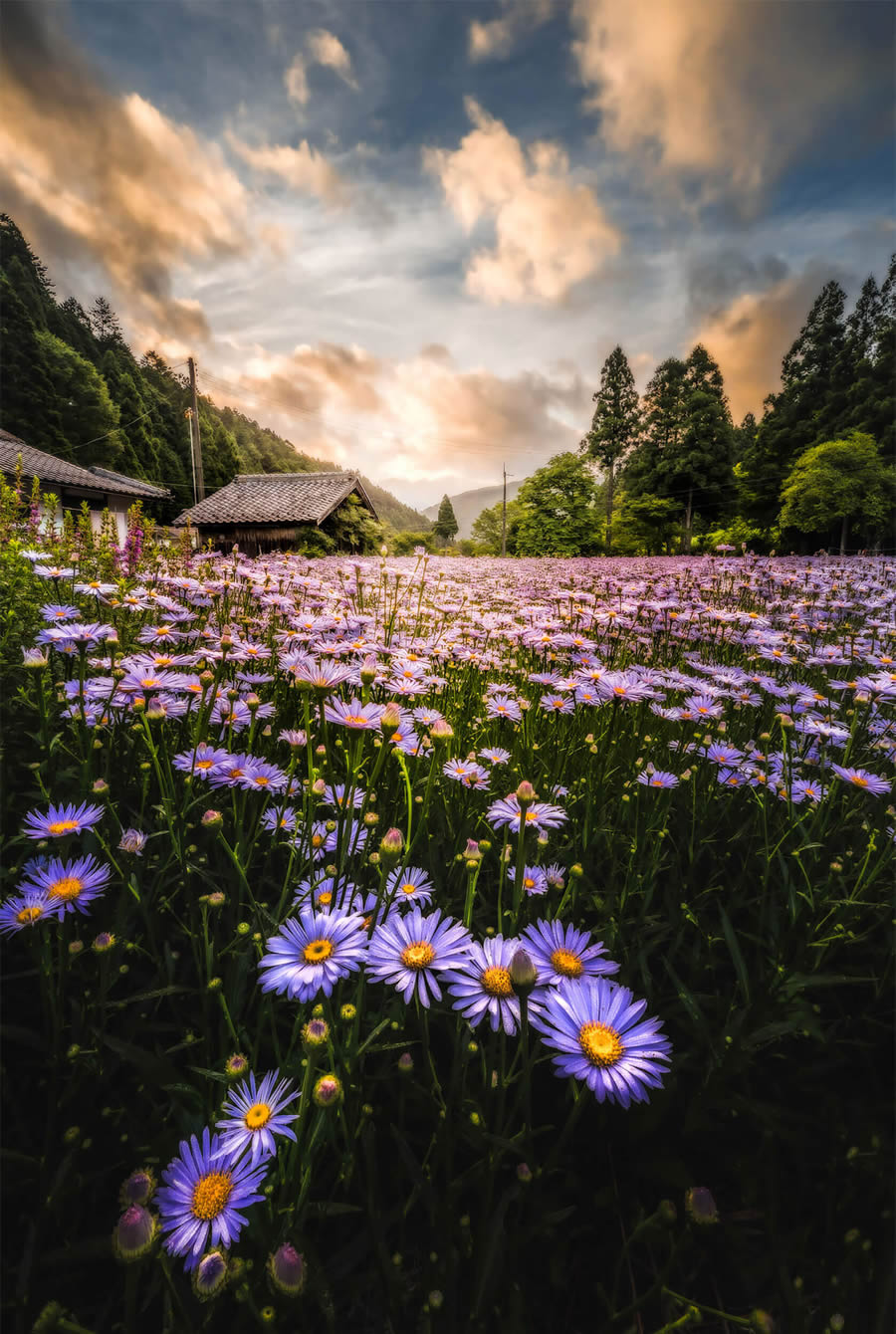 Japan Landscape Photography by Hiroki Matsubara